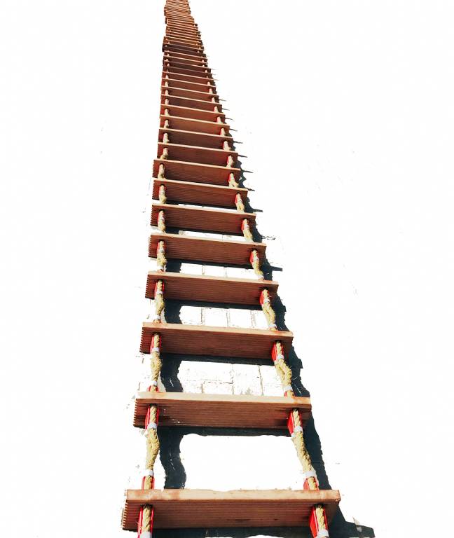 Embarkation Ladder